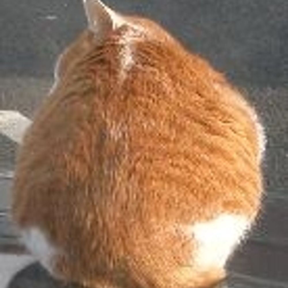 ゆいちG