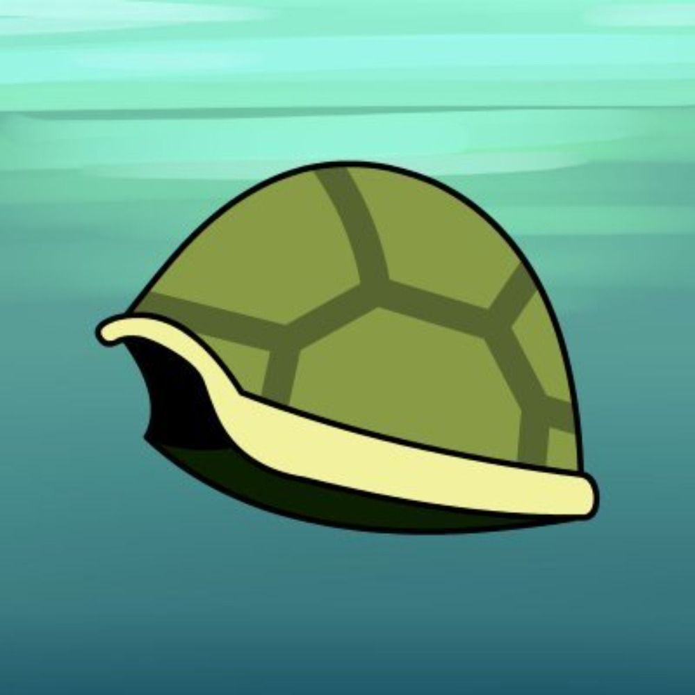 TheLooneyTurtle