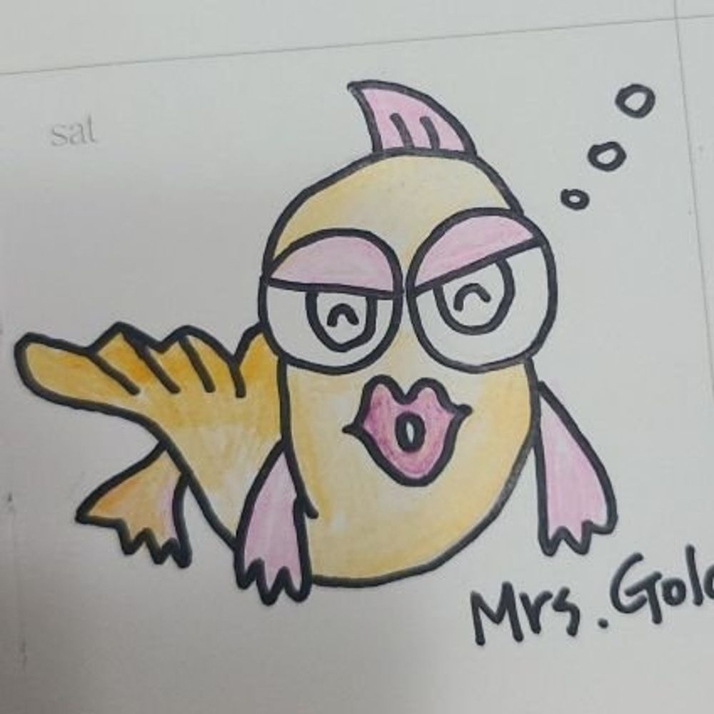 금붕어