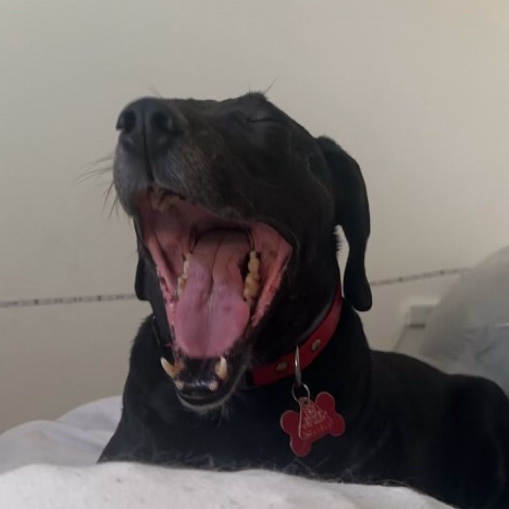 Edgar