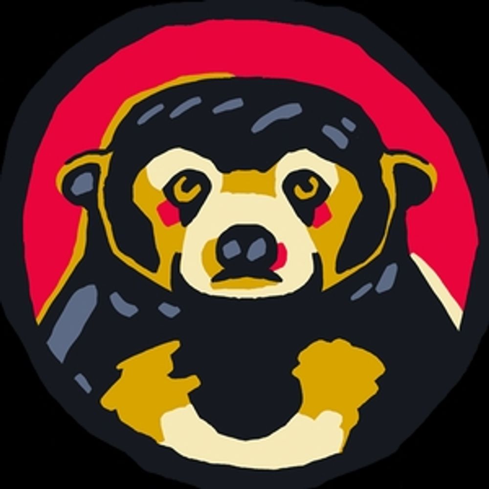Suun_bear