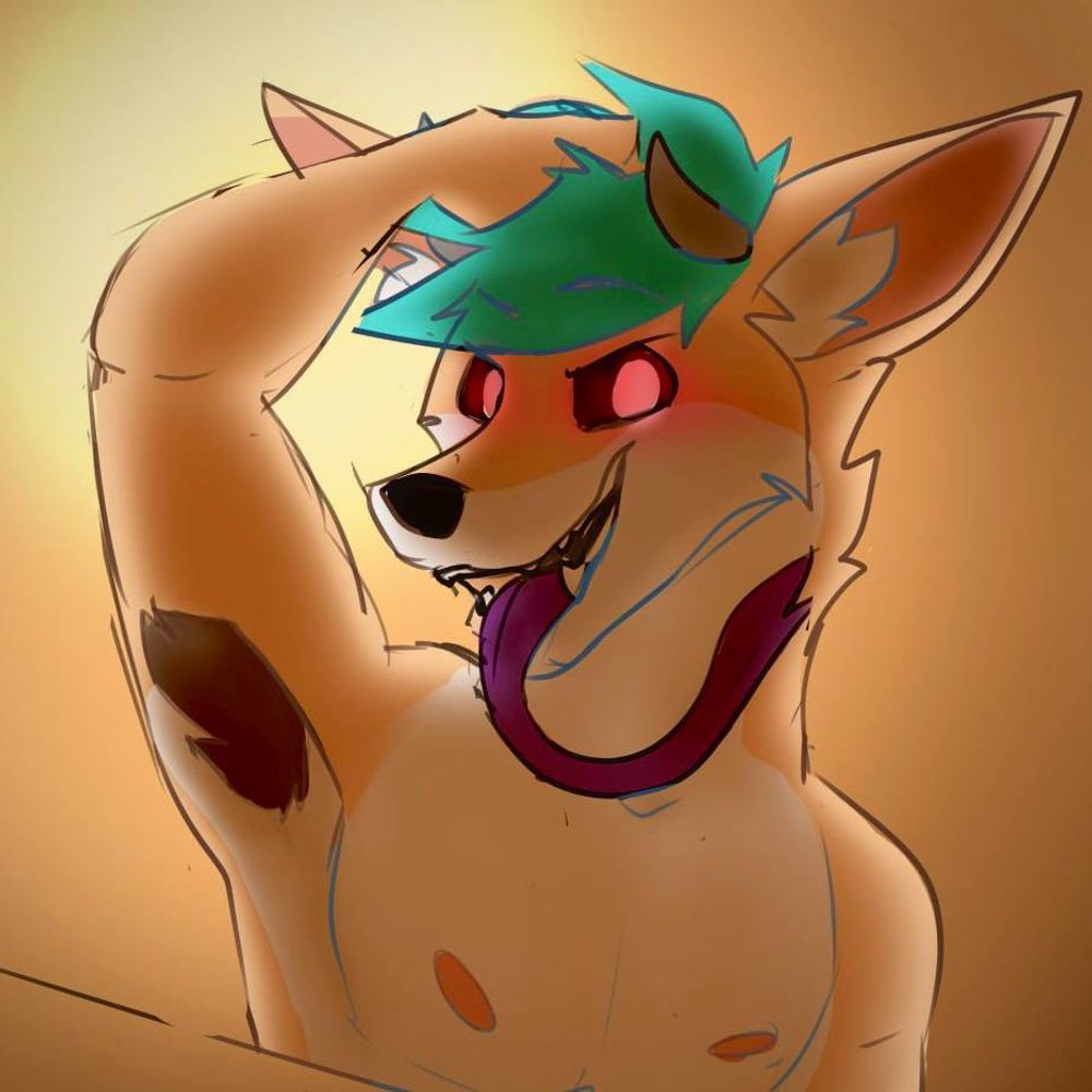 HoodieFoxAD