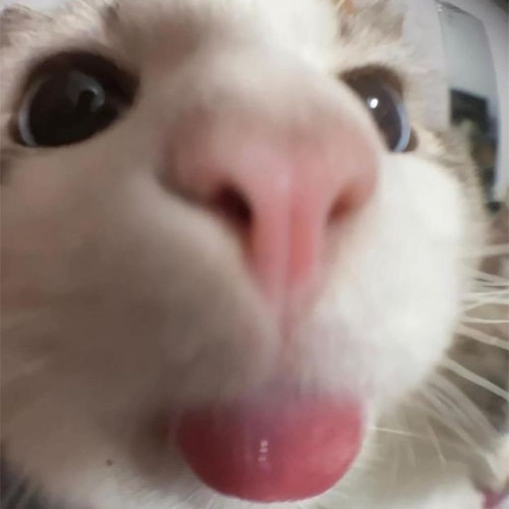 luca