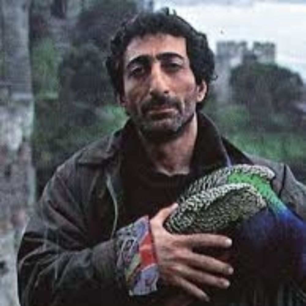 tavus kuşu çalarım