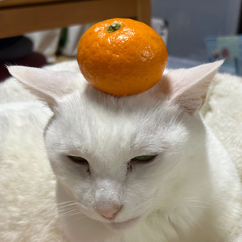 うーちゃん