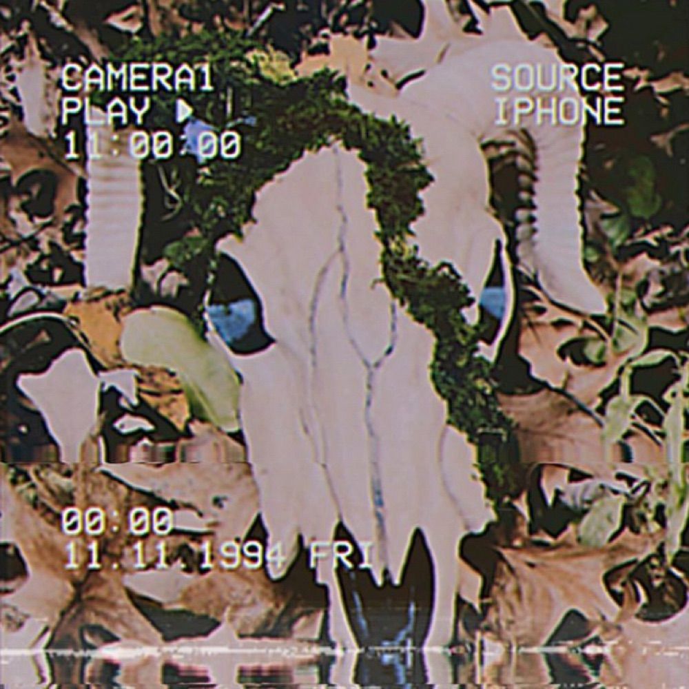 Feral
