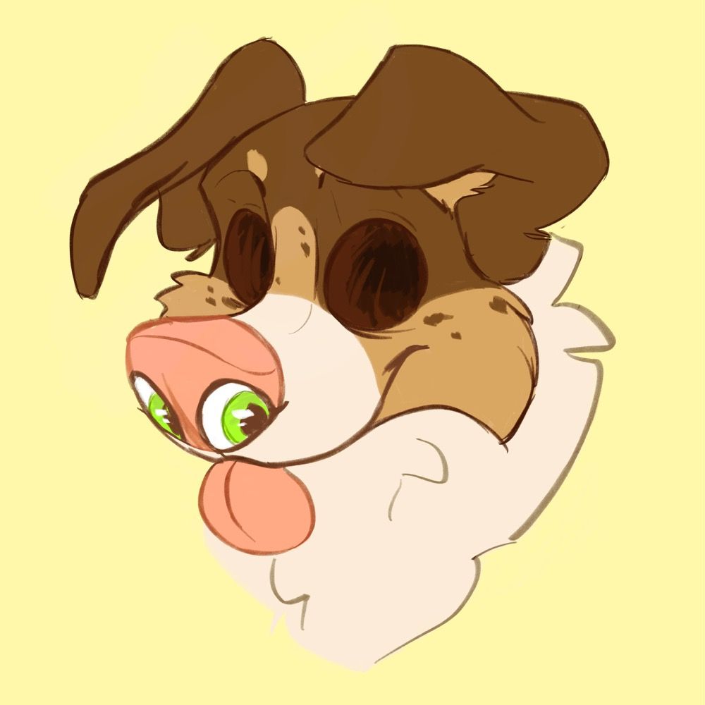 Pocket Collie's avatar