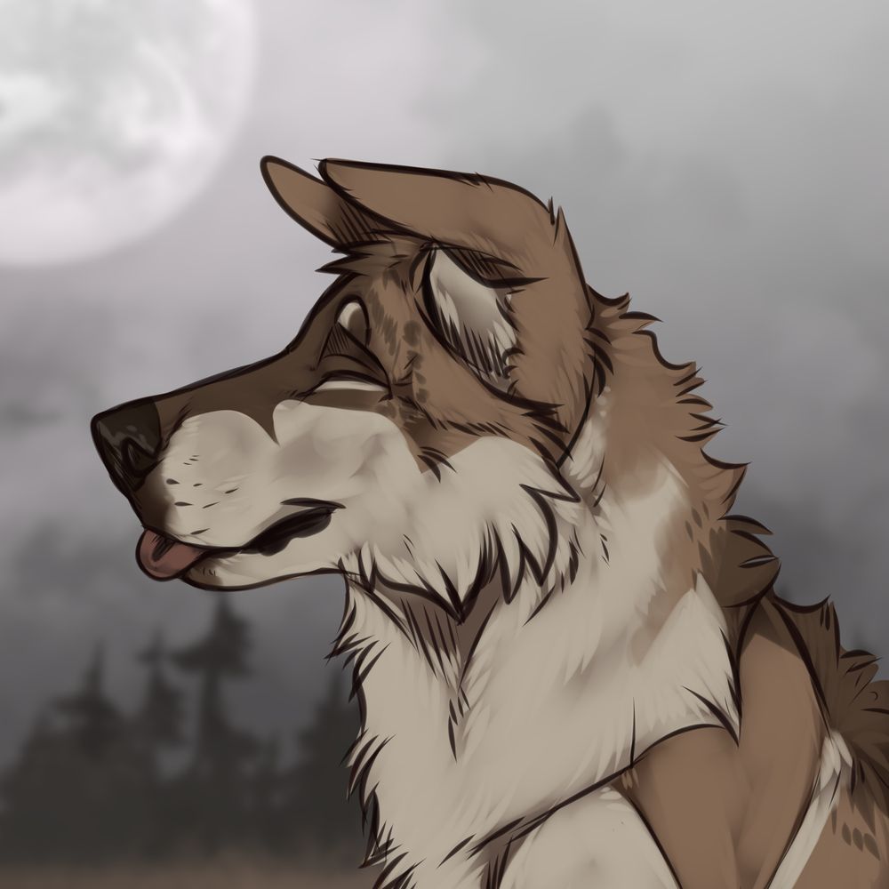 Sam2015