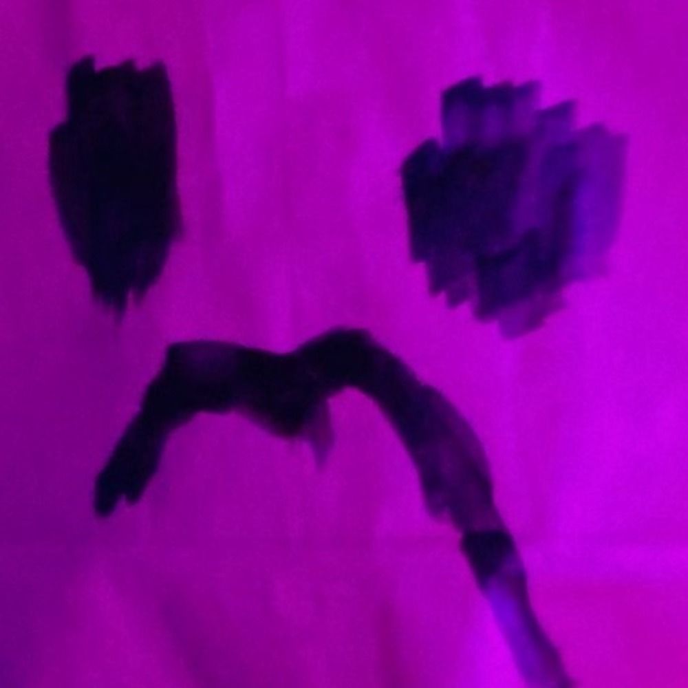 GRNDHS_GRL