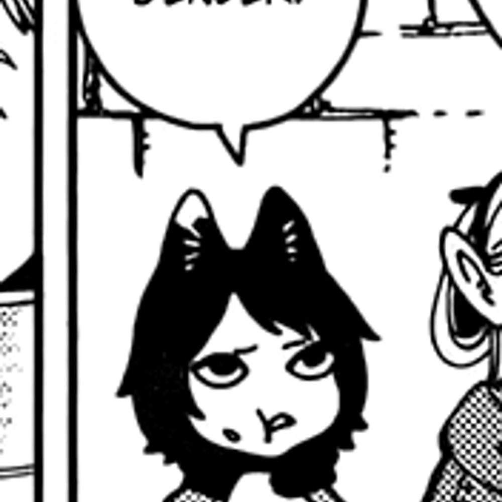 alice in delululand