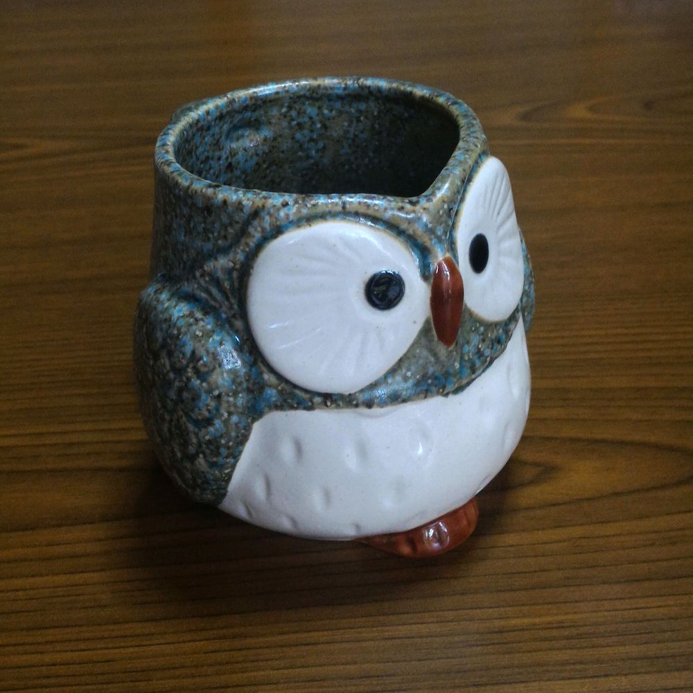 日之浦　拓