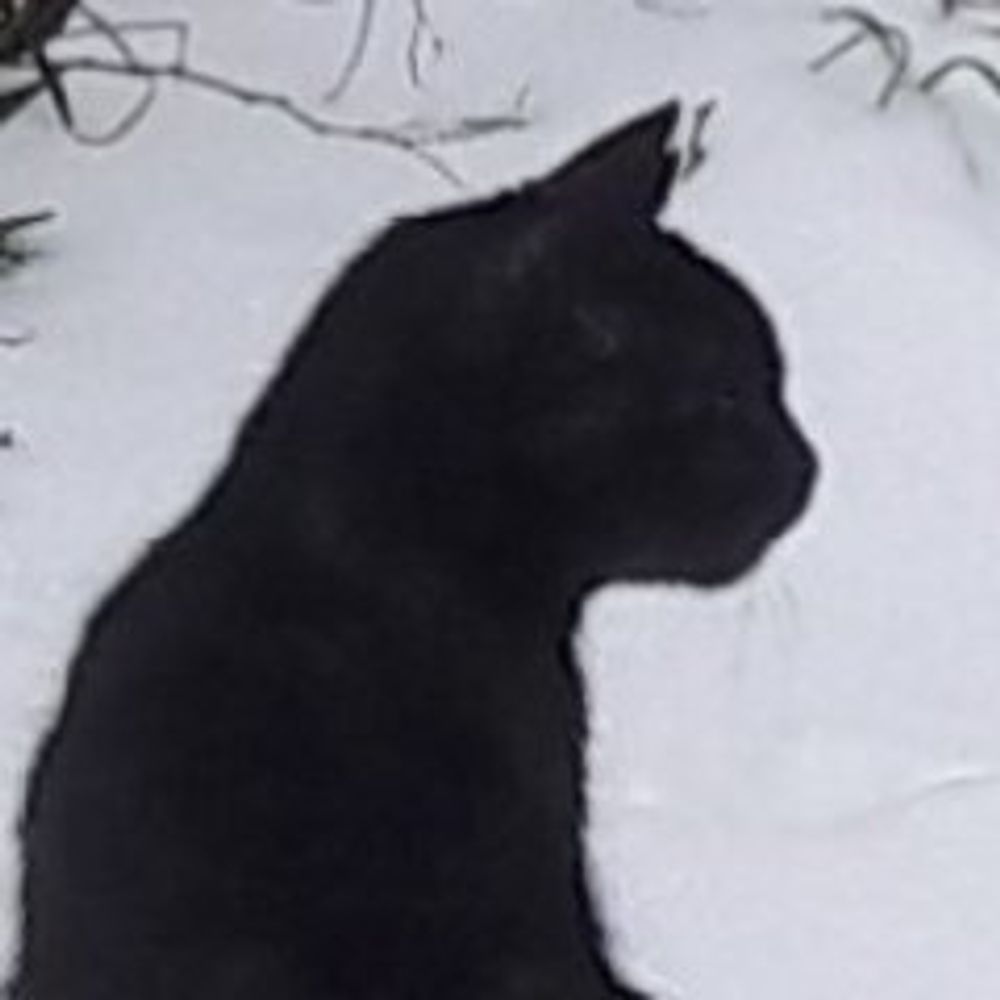 Skitty McKitty