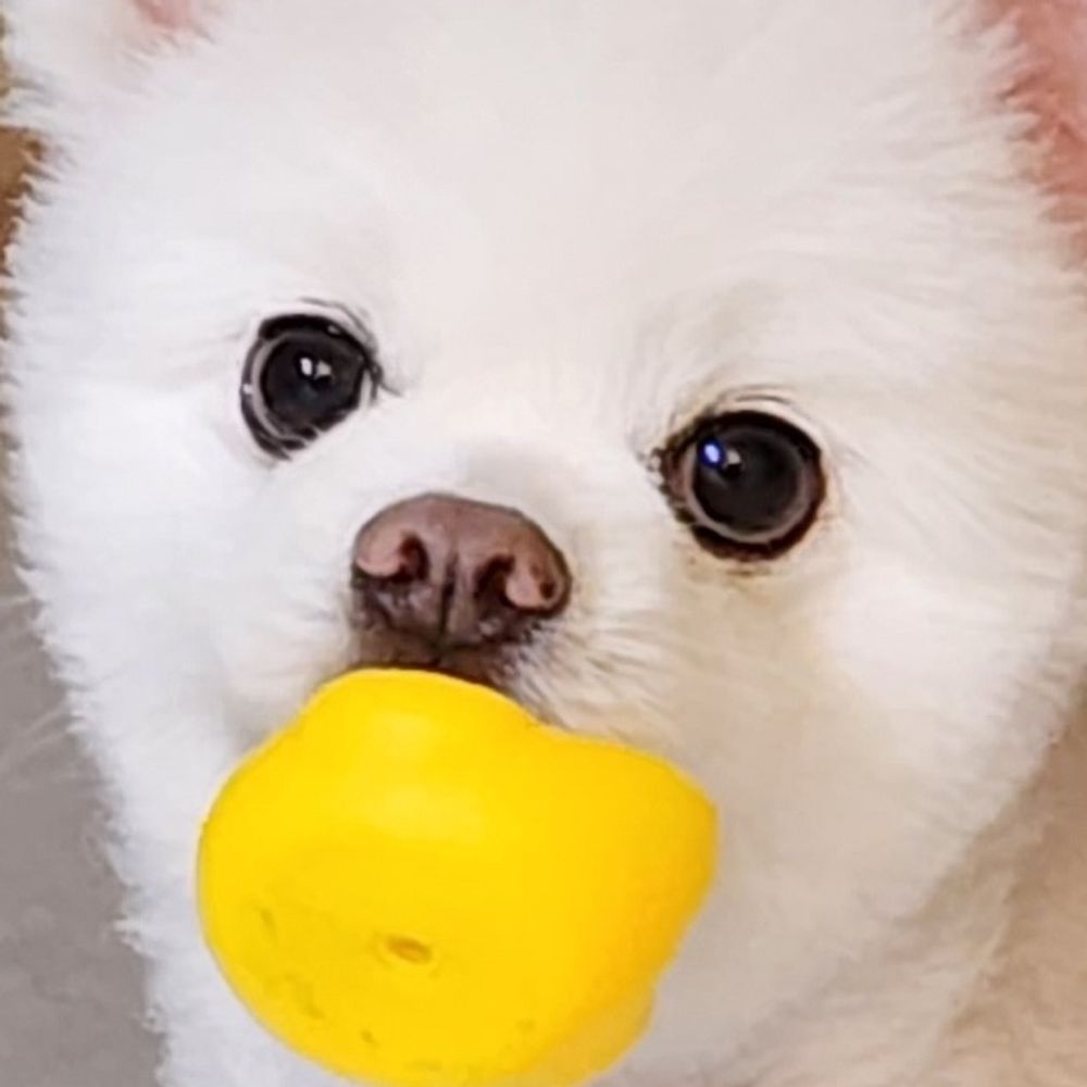 반지하의 제왕