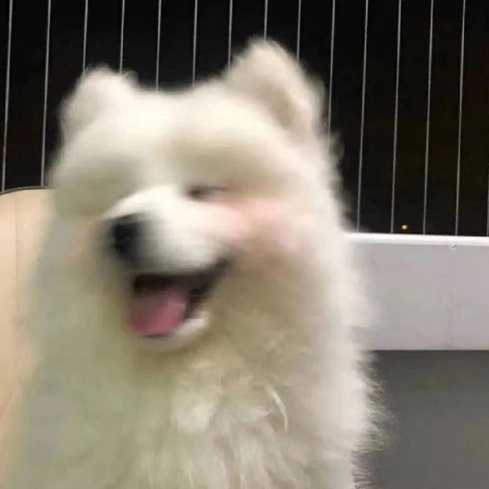 郭郭郭