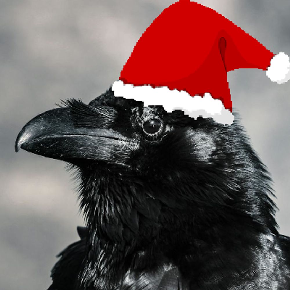 wintercrow