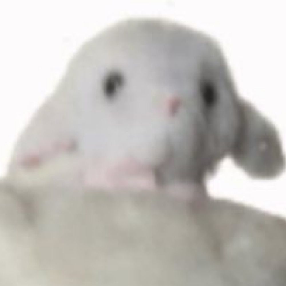 るね2