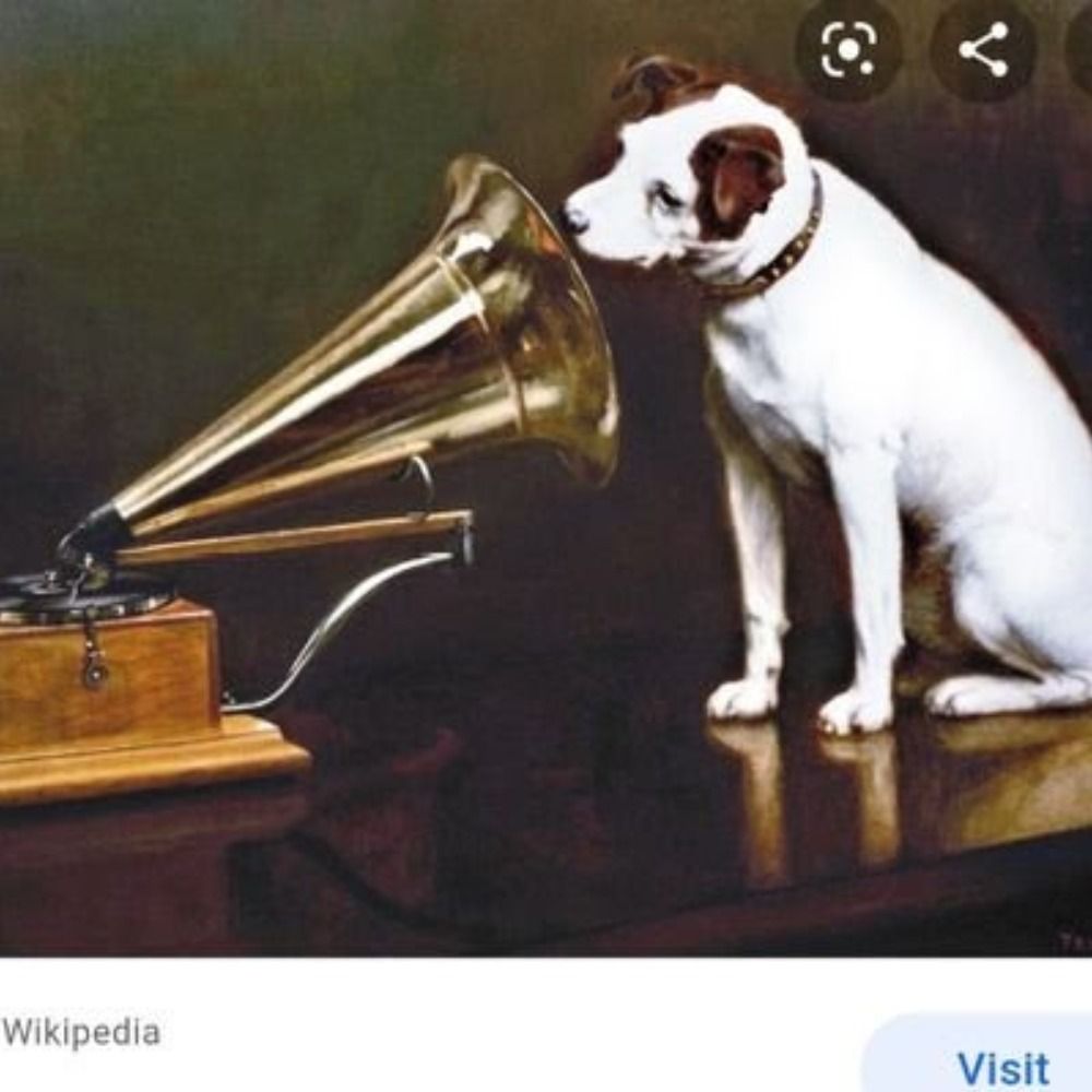NipperMaddog