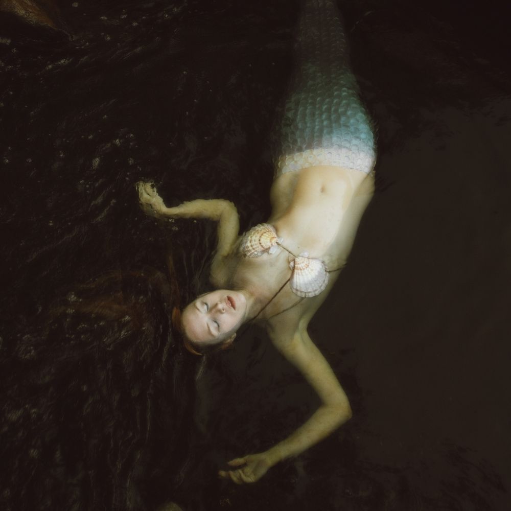 Lexi Bird Photography