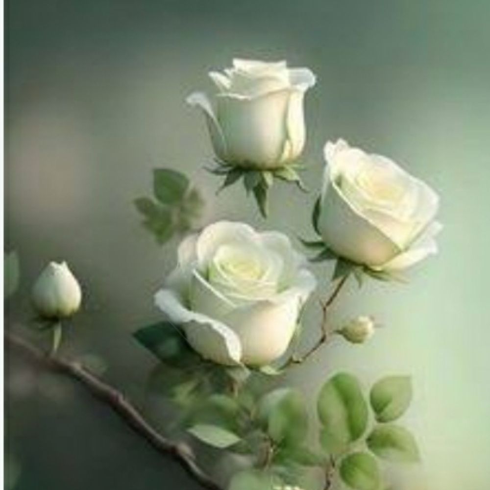 Silvana:🍂🍁🌿🌾🧚‍♀️☘🌺🦠🍀🌱🍃⚘🧚‍♂️🐞🐝🌼🌻🌹🍀