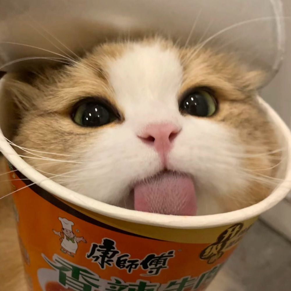 wuttt