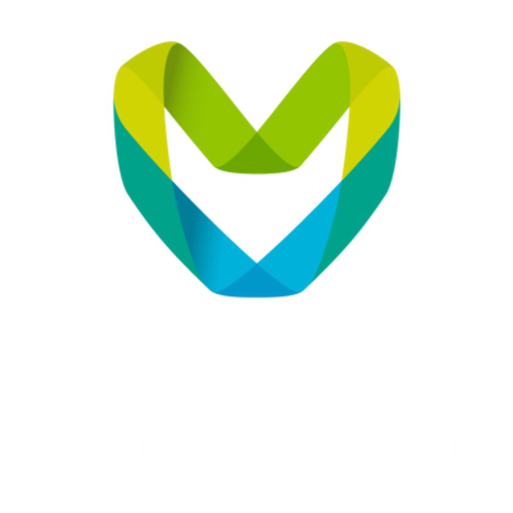 Metaverse Standards Forum