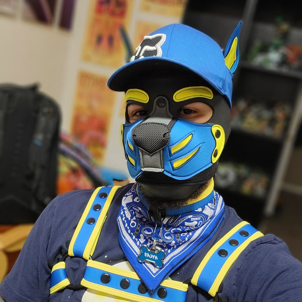 Pup Hylas