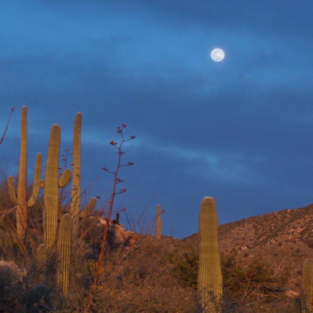 Sonoran Space Research