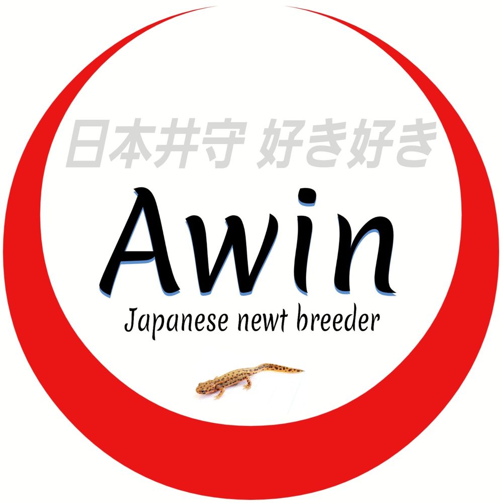 丹羽(@Awin_go_ashore)