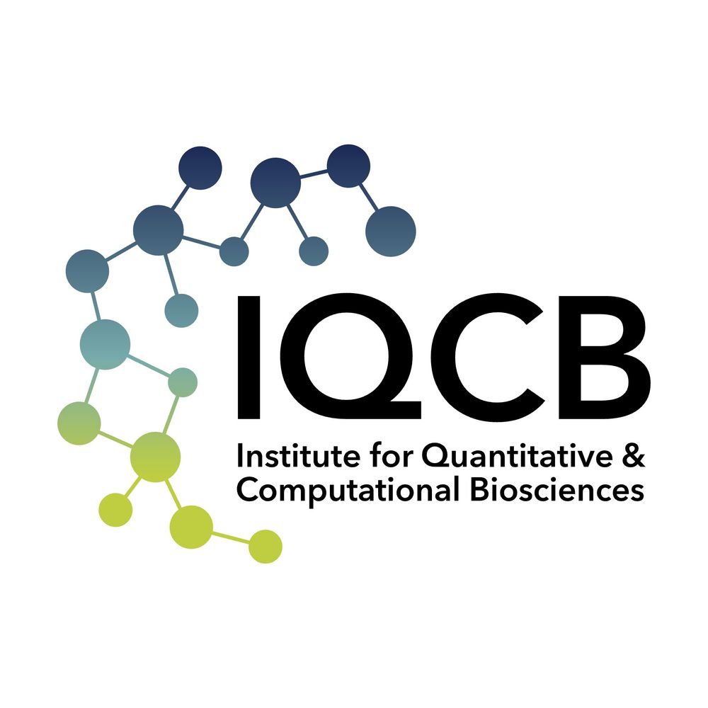 IQCB Mainz