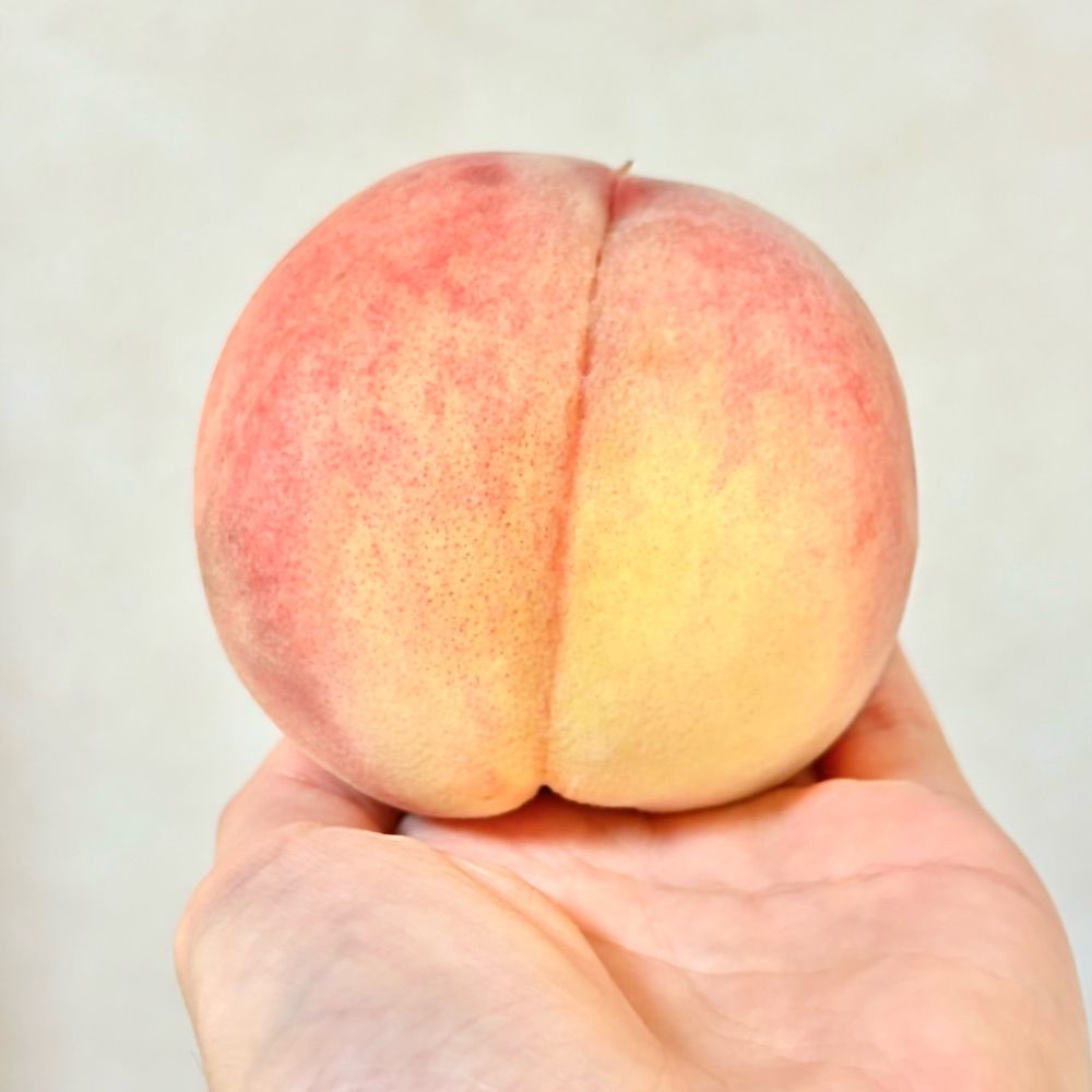 そち