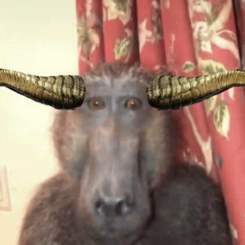 Tom