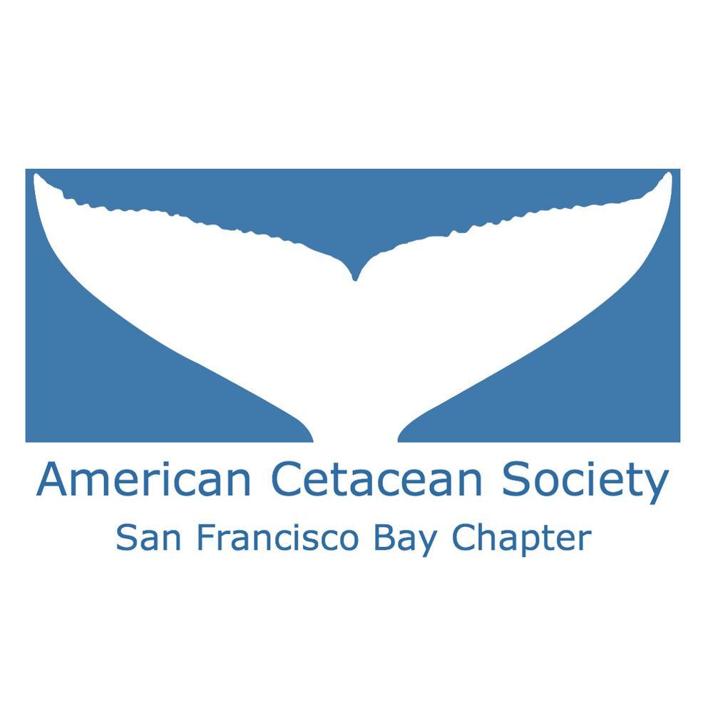 American Cetacean Society San Francisco Bay Chapter