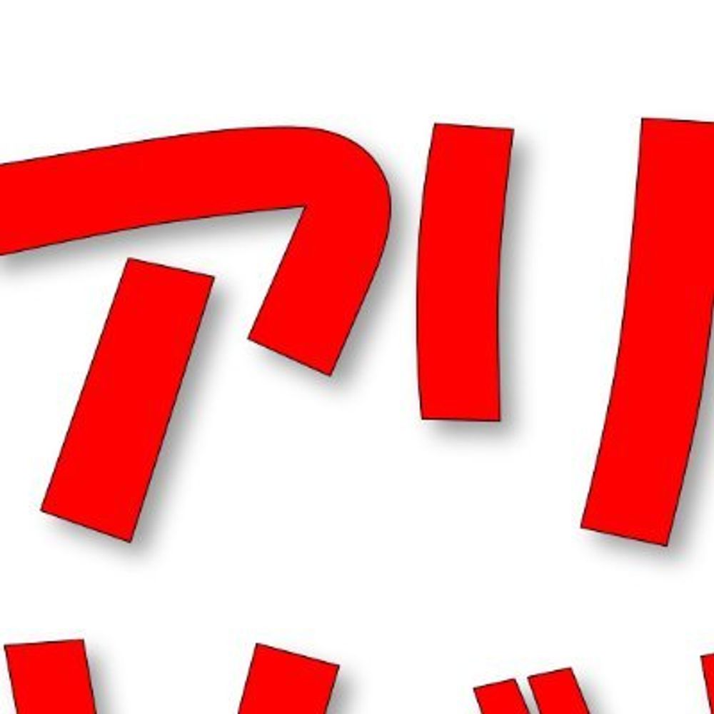 アリの巣ライブカメラ
