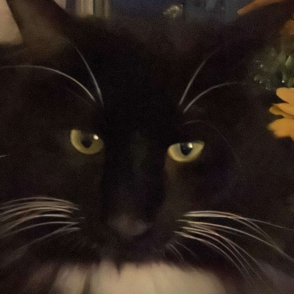 Adrian