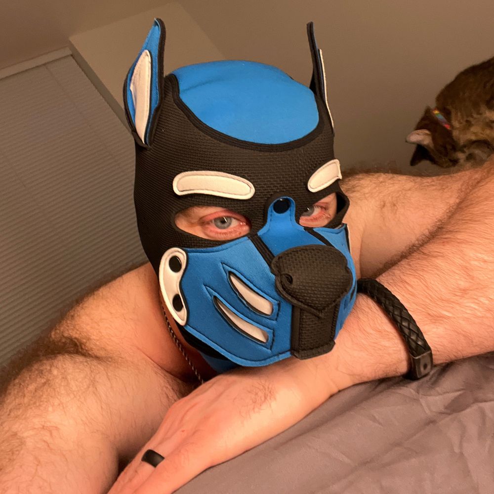 Pup Mugsy