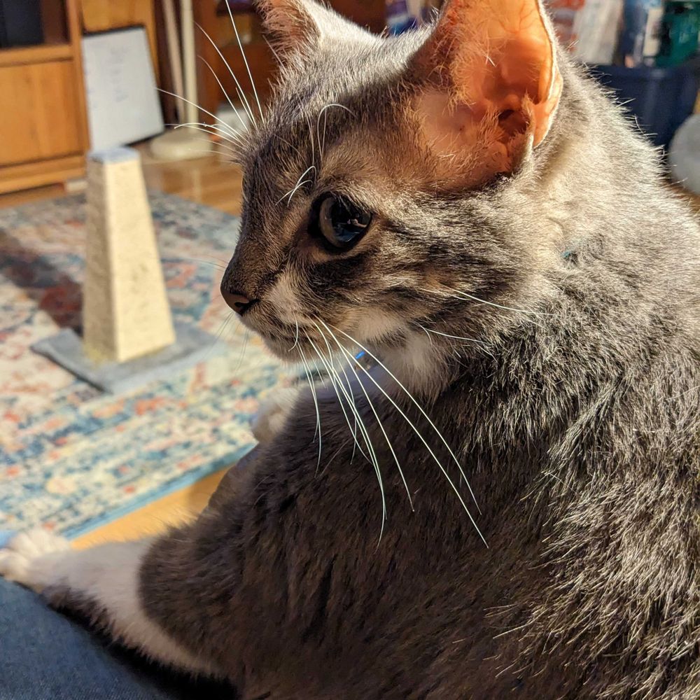 Frank