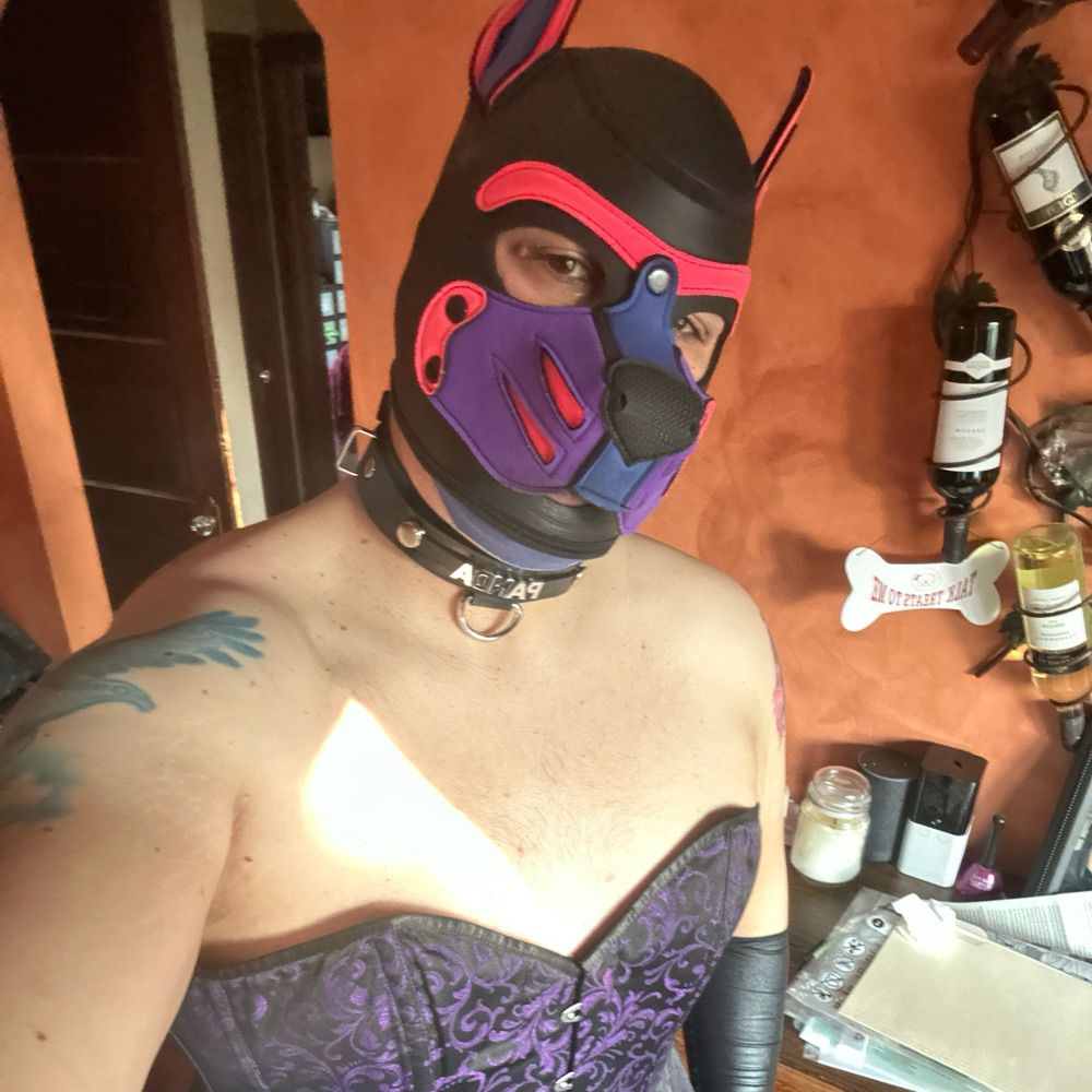 Panda (She/They)
