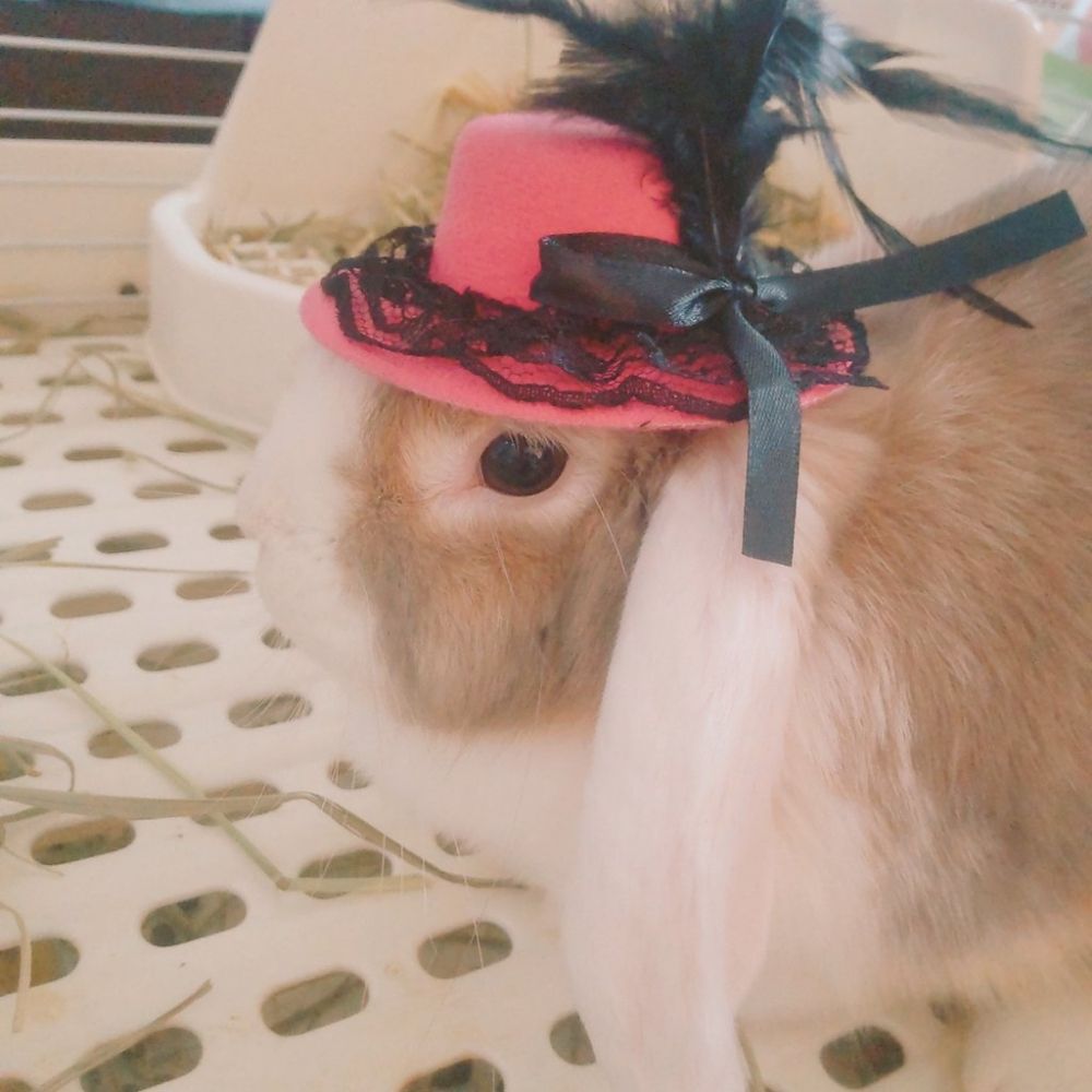 にぎり