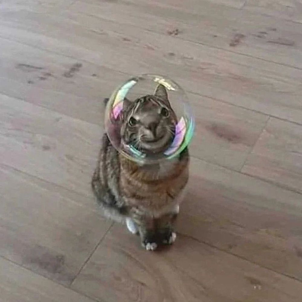 히뽀