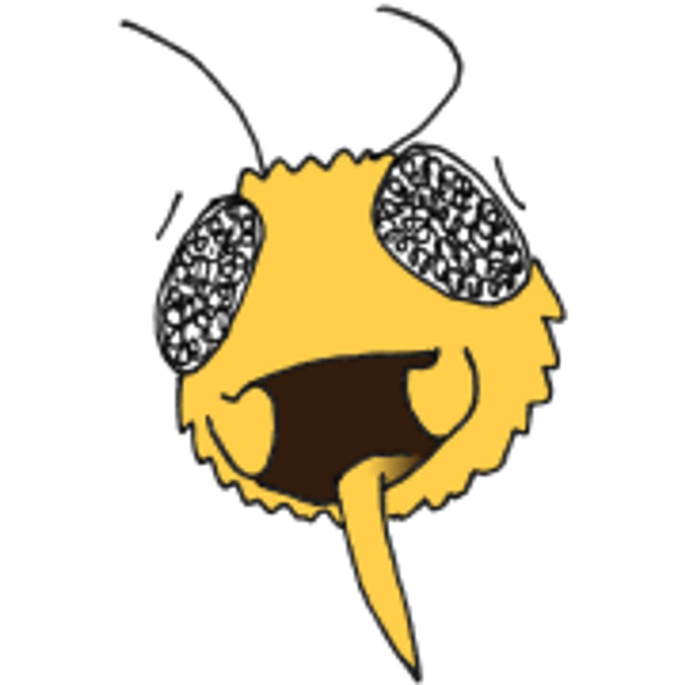 Bee-ing Apis