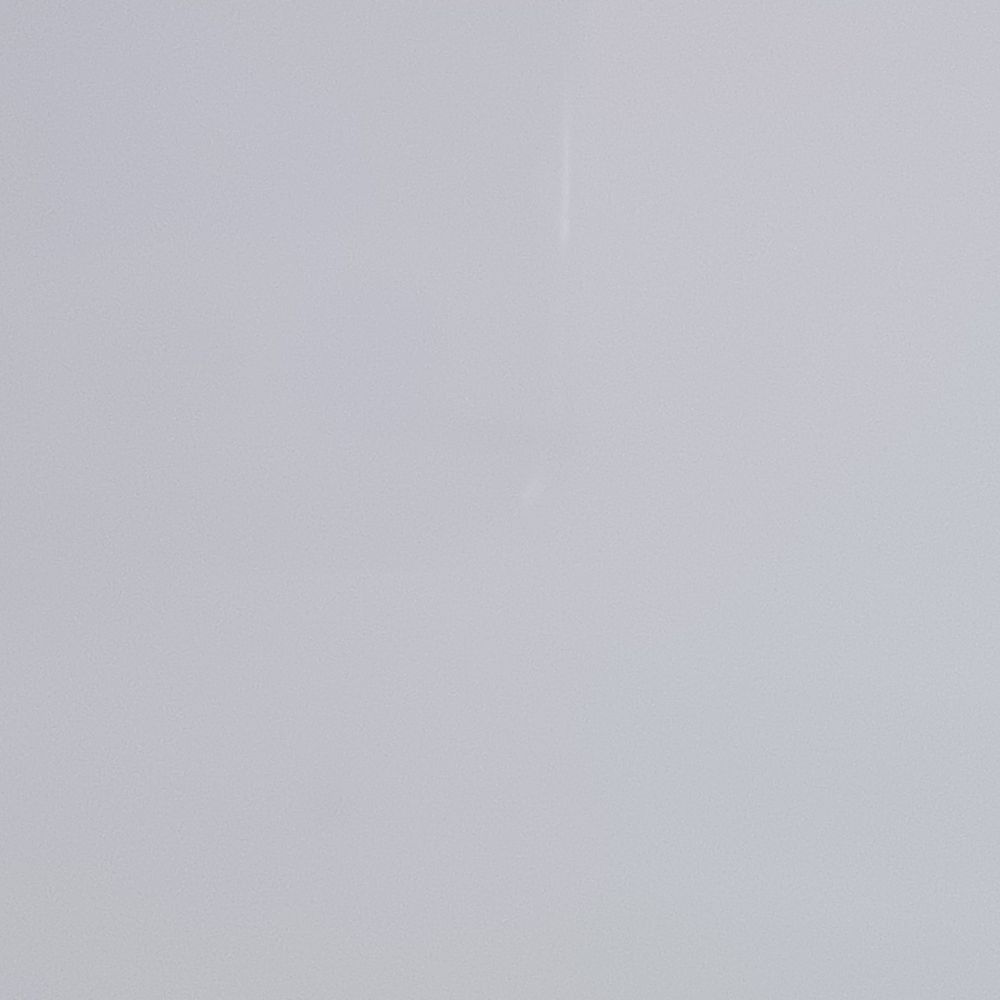 柏파나