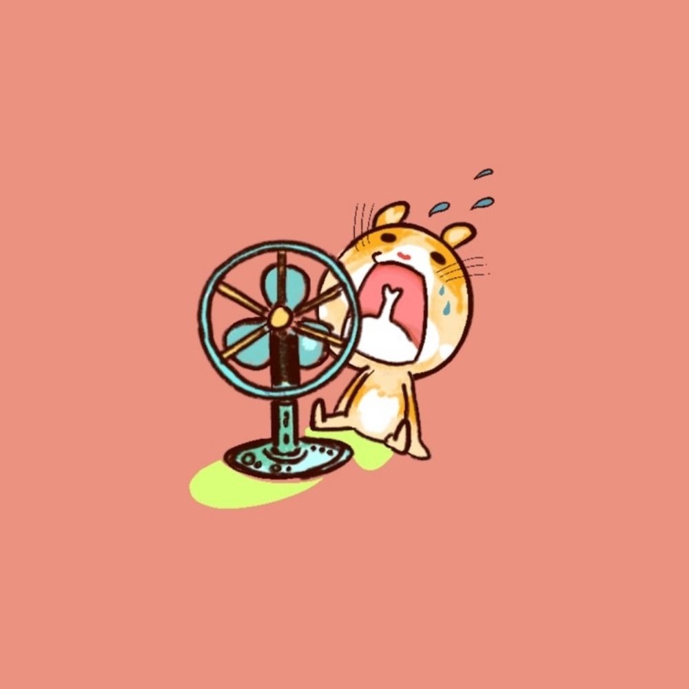 씽씽