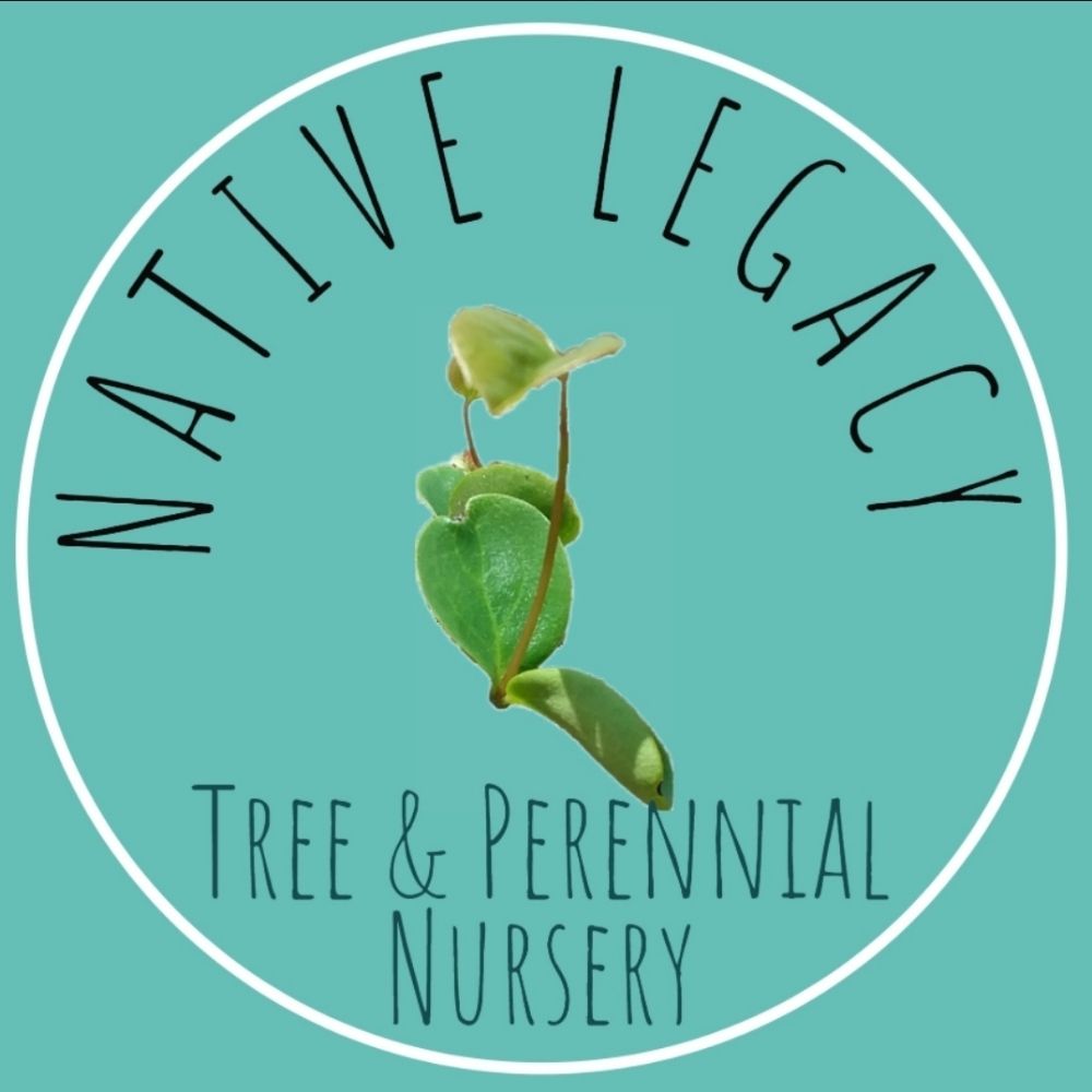 Native Legacy Nursery