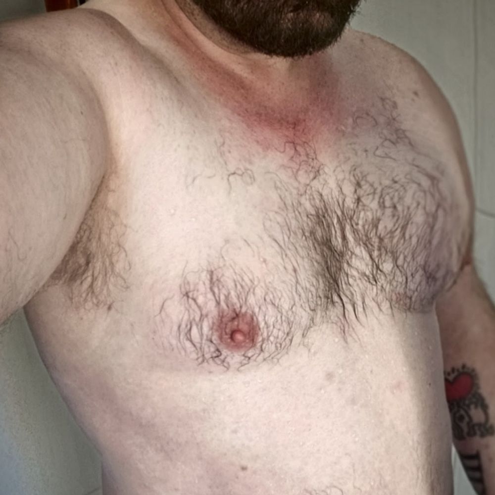 rdadbear.bsky.social profile picture