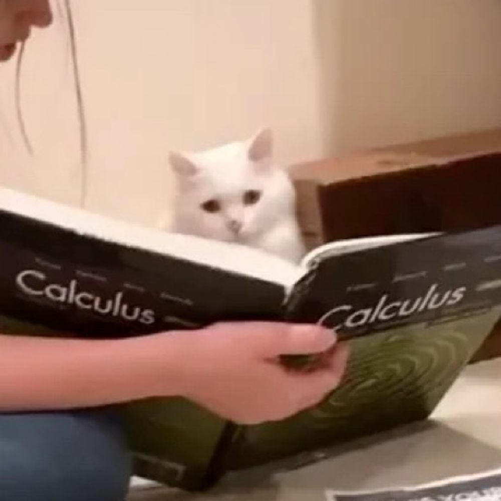 Catman
