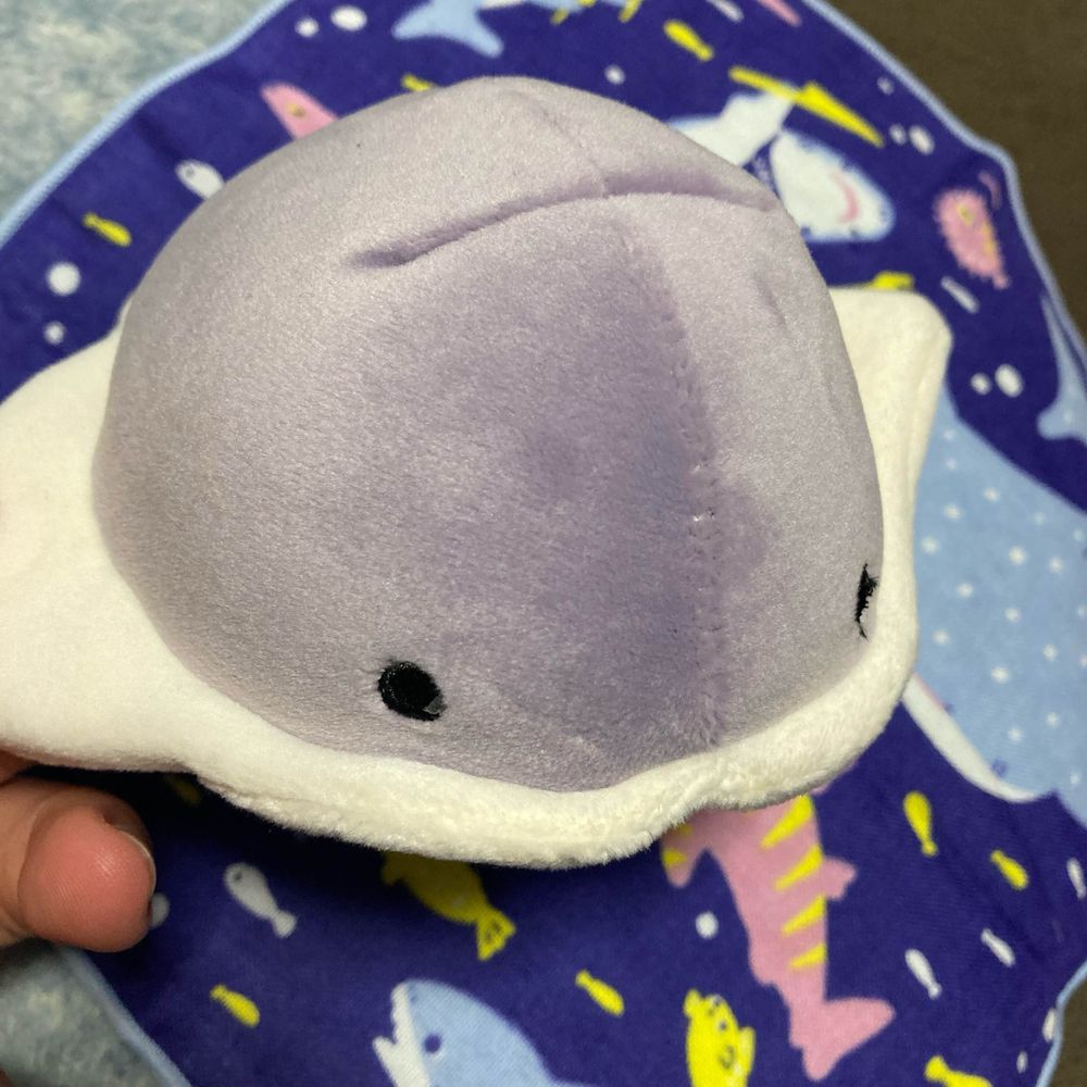 ⚽️BLUE(ぶるー)🦈