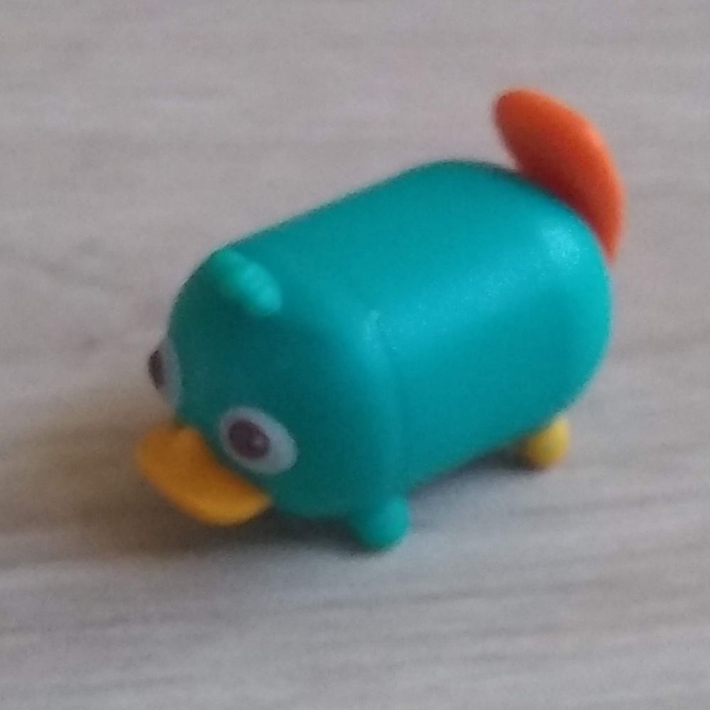 Platyboy