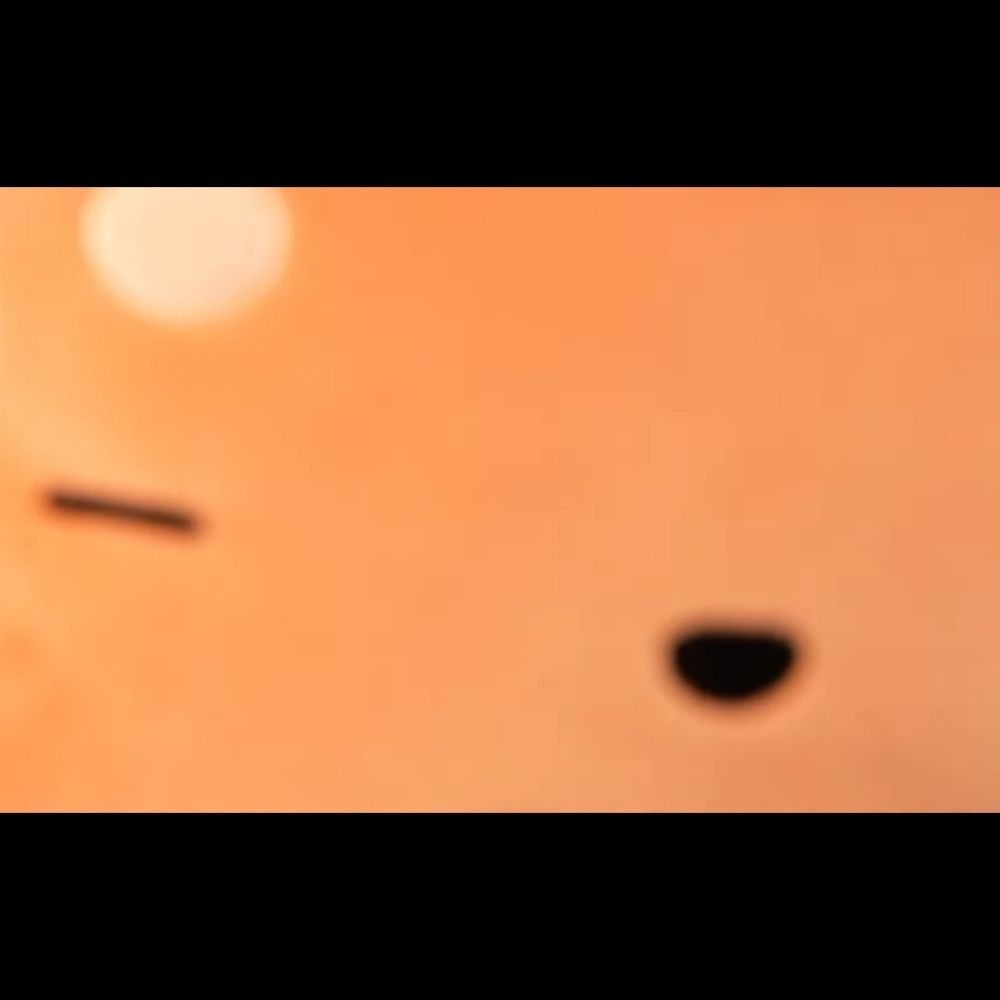 박덕개