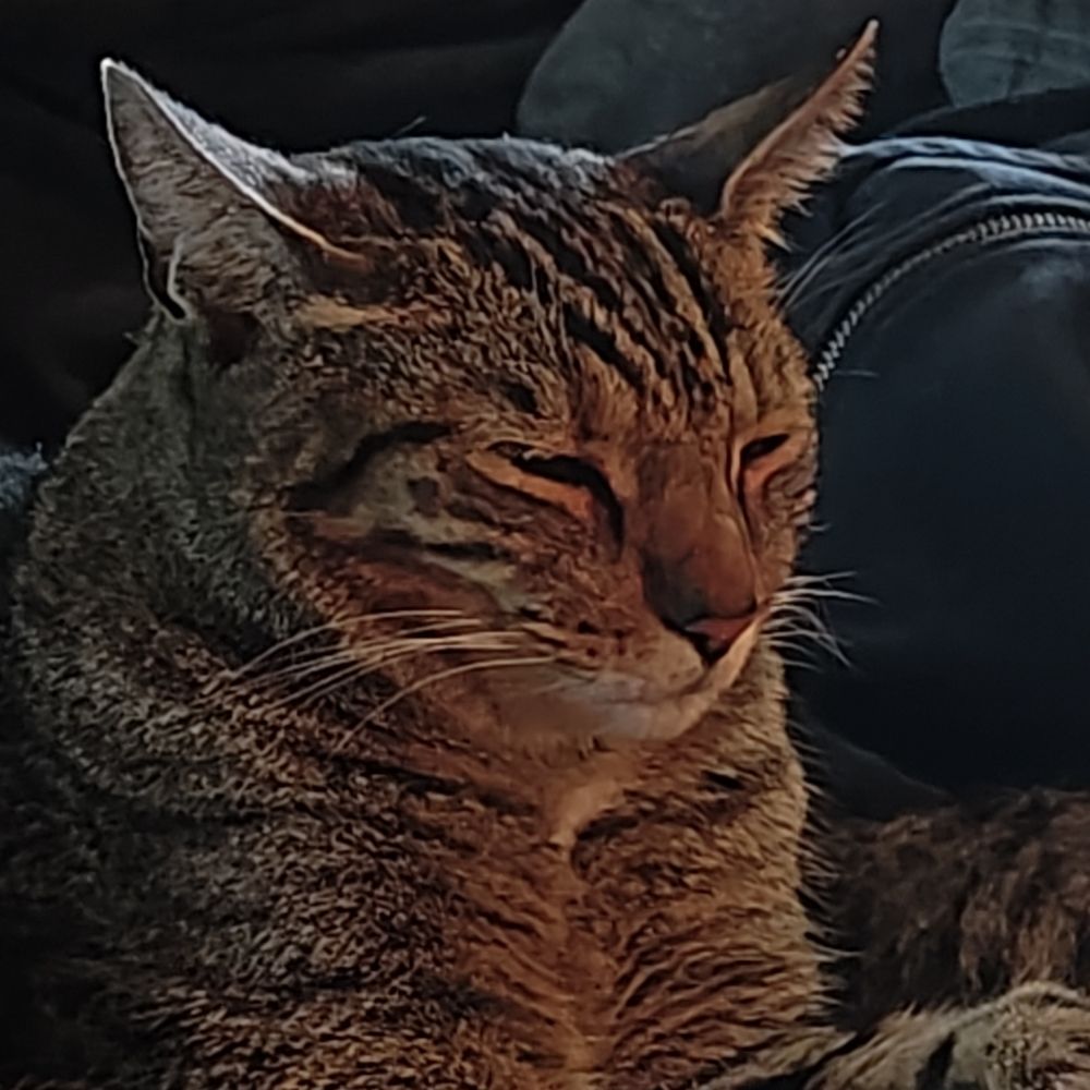 Monty
