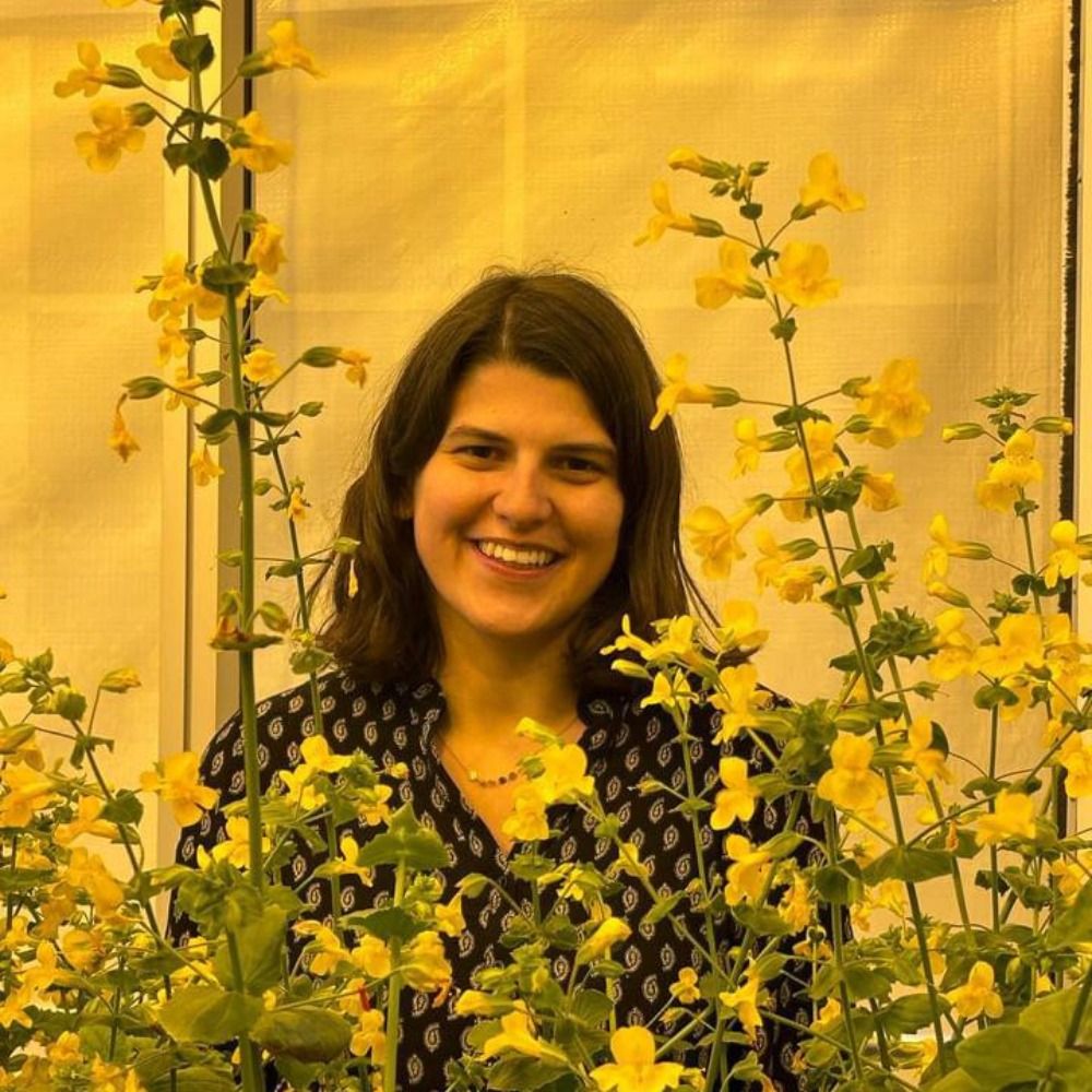 Pauline Raimondeau